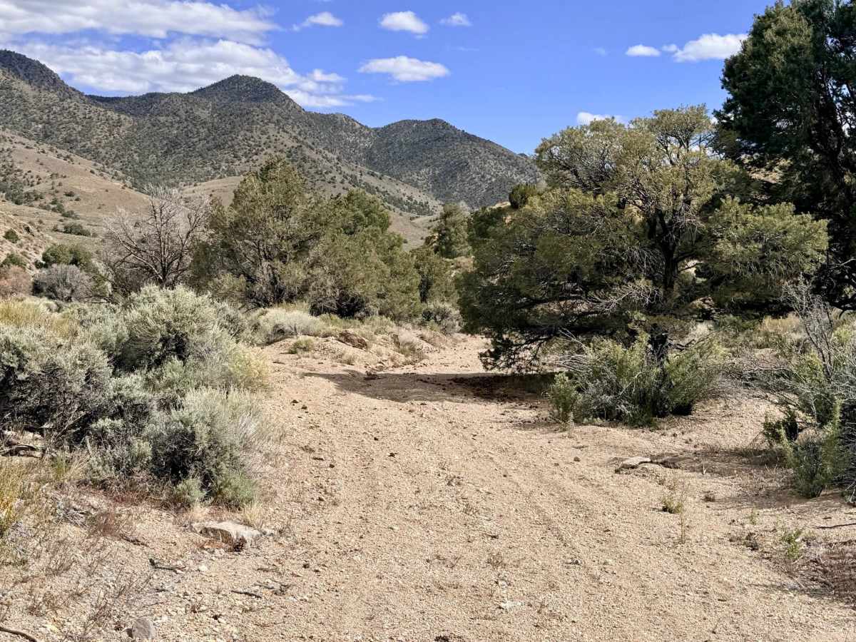  Four Mile Spring- FS 44018B photo 6
