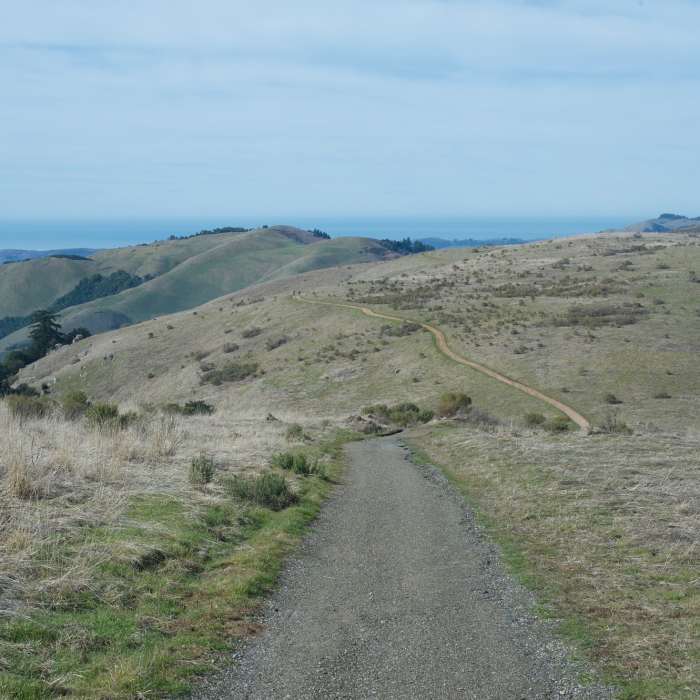 Near Borel Hill Trail