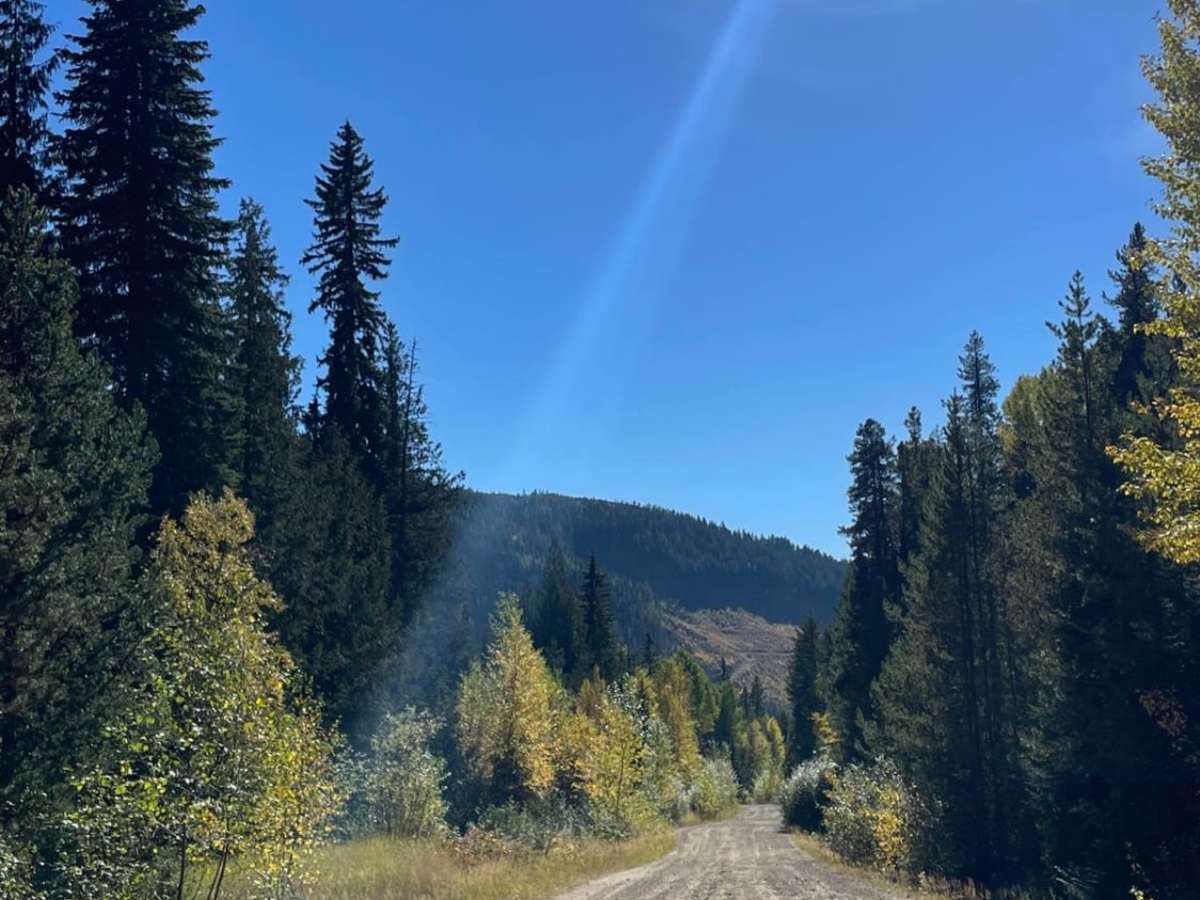Philpot FSR - Ideal Lake to Highway 33 photo 5