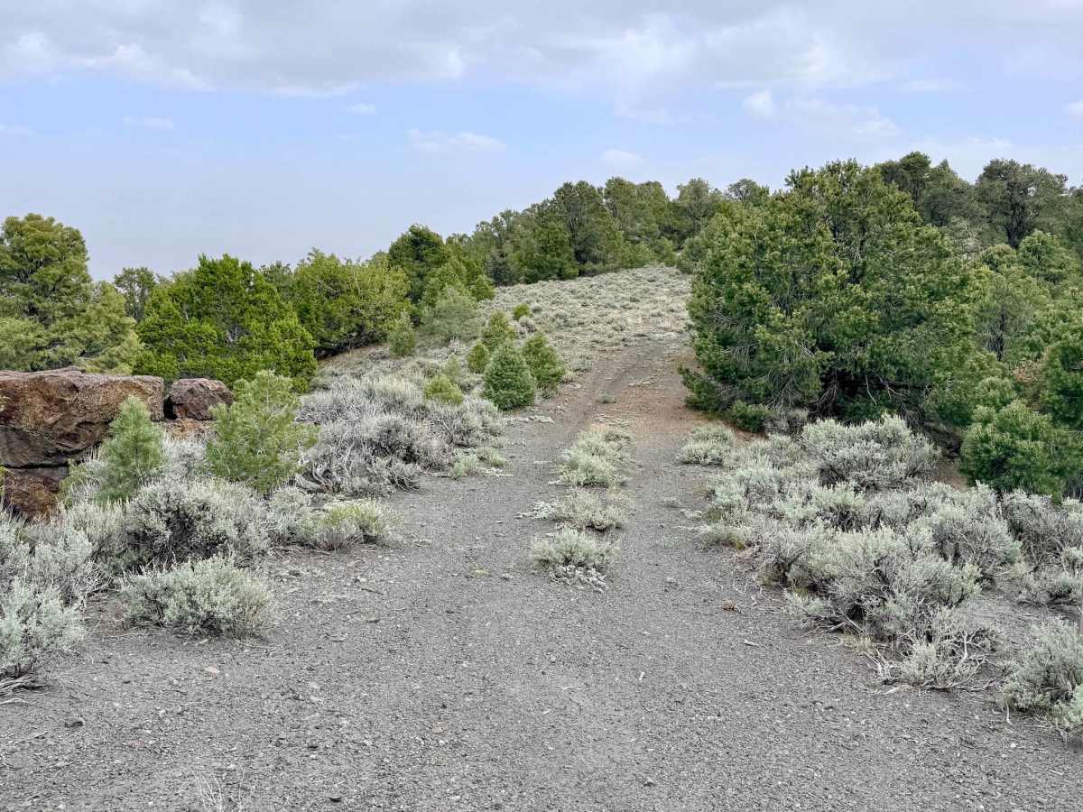 South Lowboy Mine FS43245 photo 4