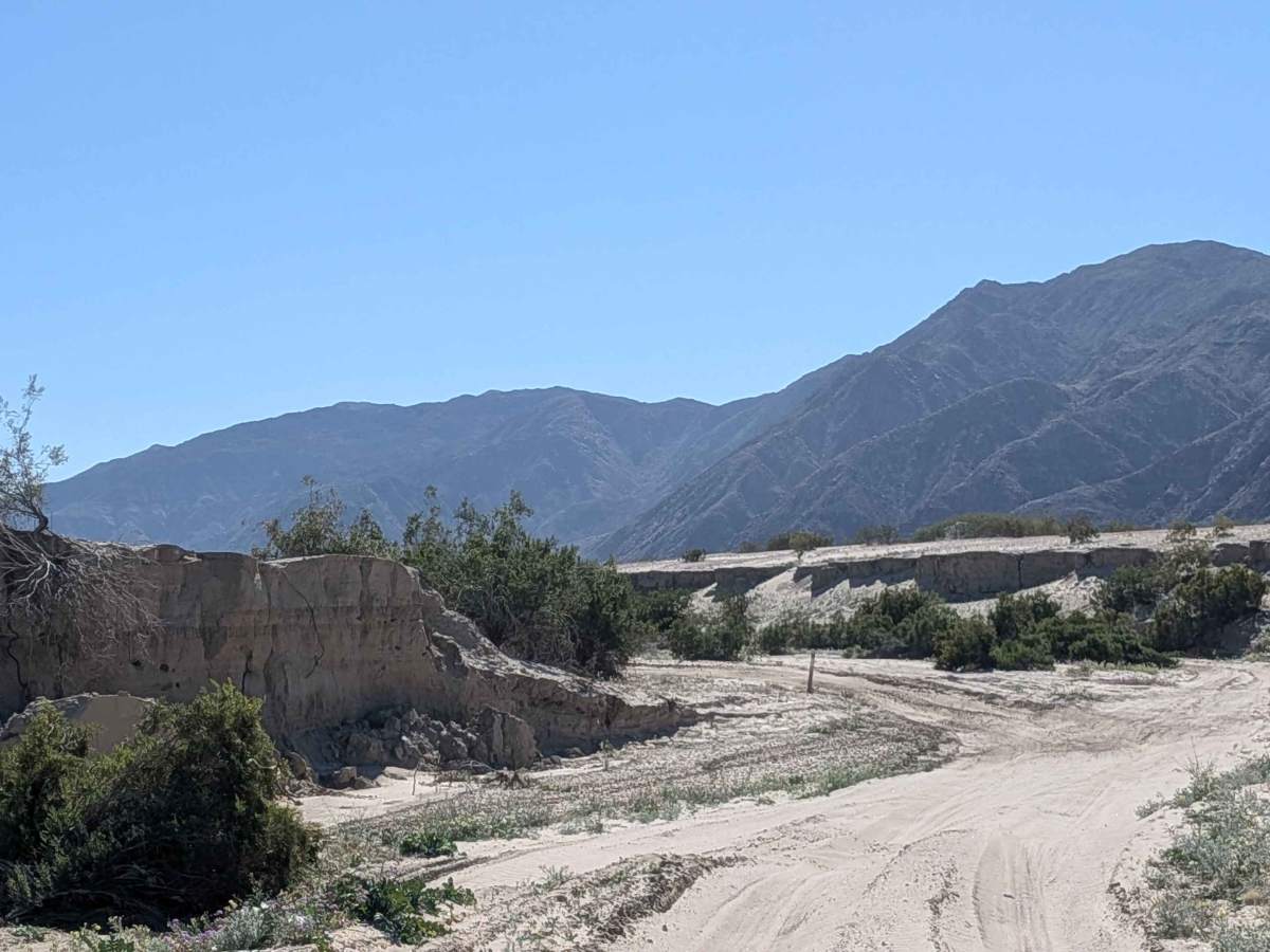 BLM 083 photo 6
