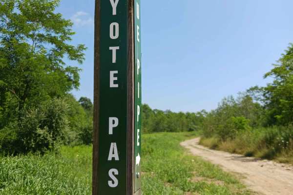 Coyote Pass Trail