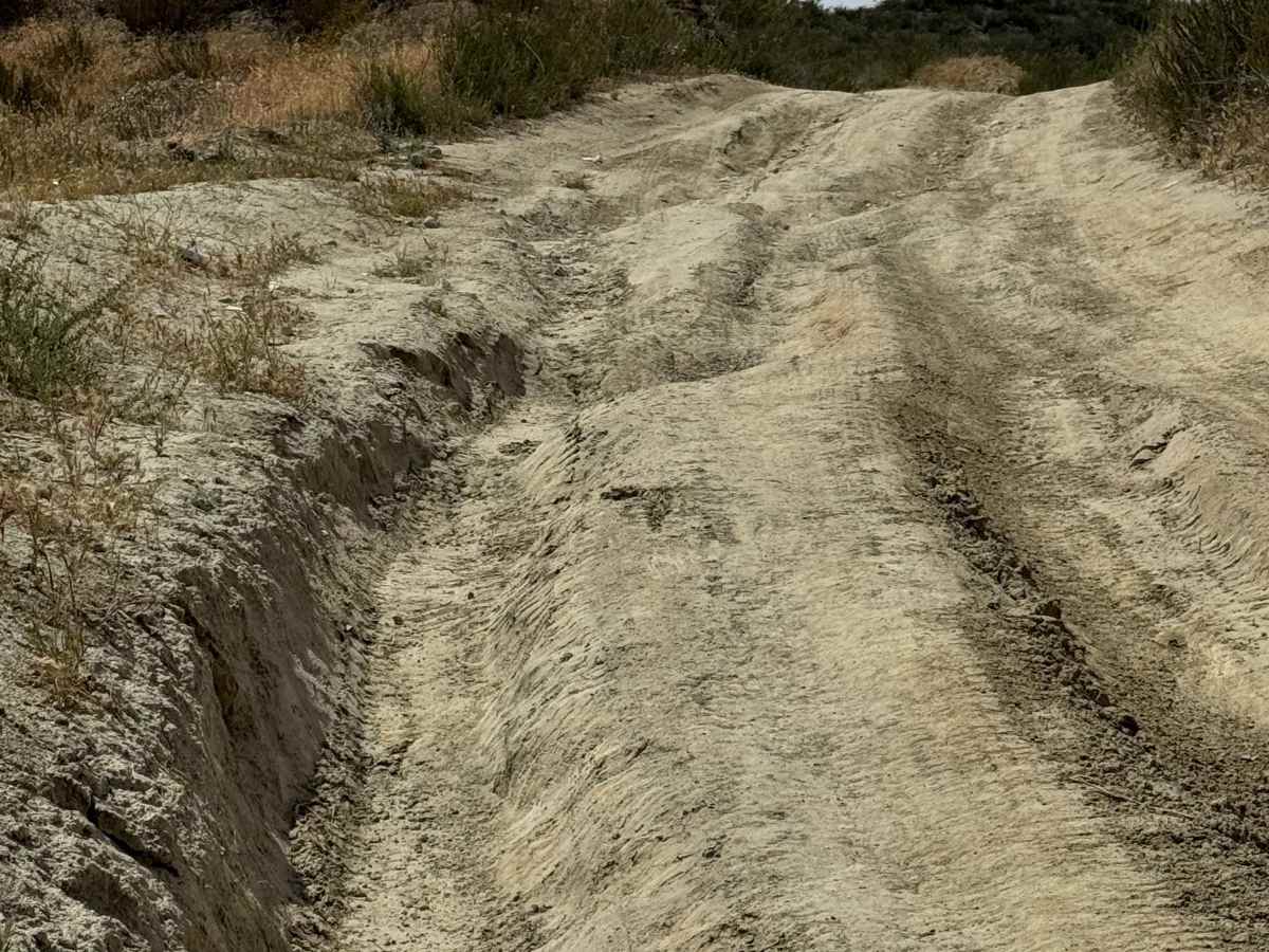 Bee Canyon trail photo
