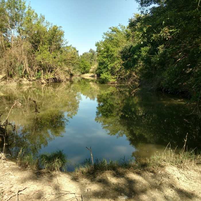 Near Putah Creek North Levee Trail
