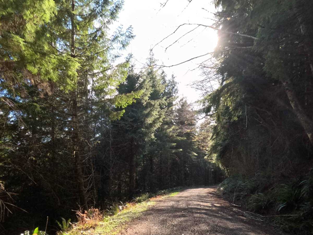 Farmer Creek  photo 3