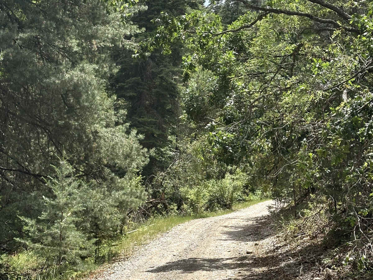 Karr Canyon photo 5