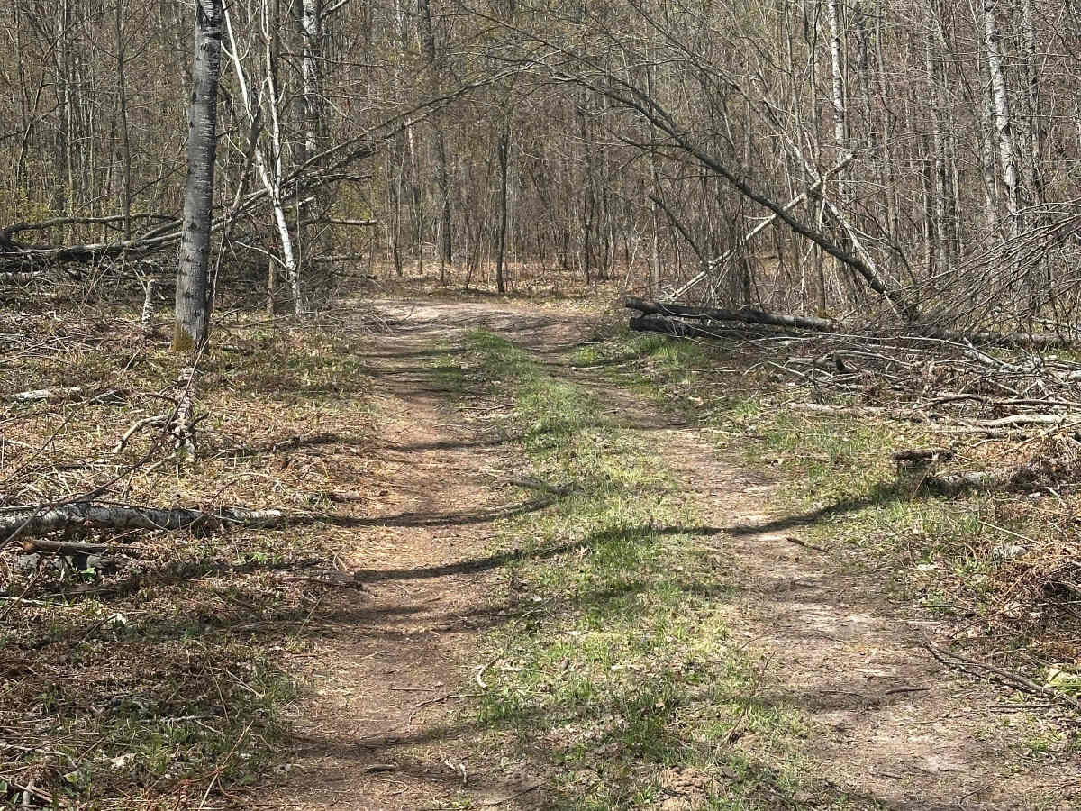 Frederic Route Cutover photo 4