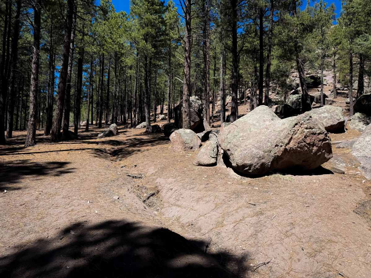 Lake Fork Mesa - 505  trail photo