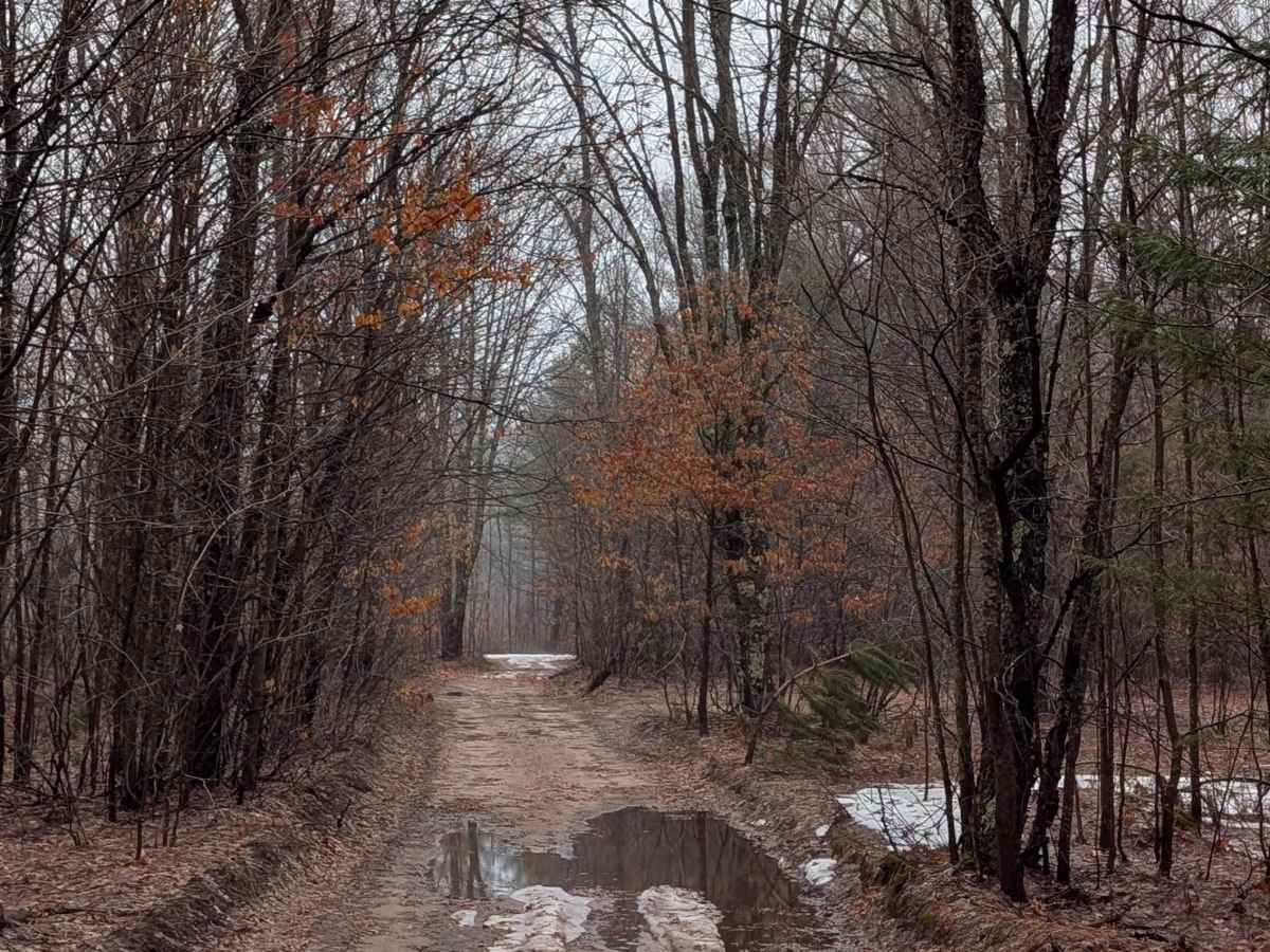 Cranberry Lake Rd photo 2