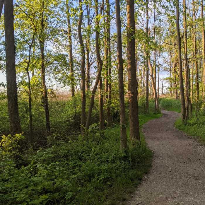 Near Terrapin Park Loop