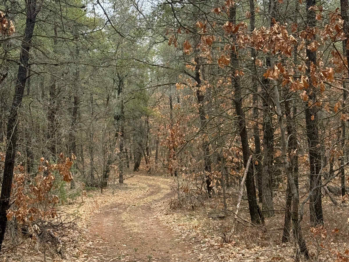 FS 8560 trail photo