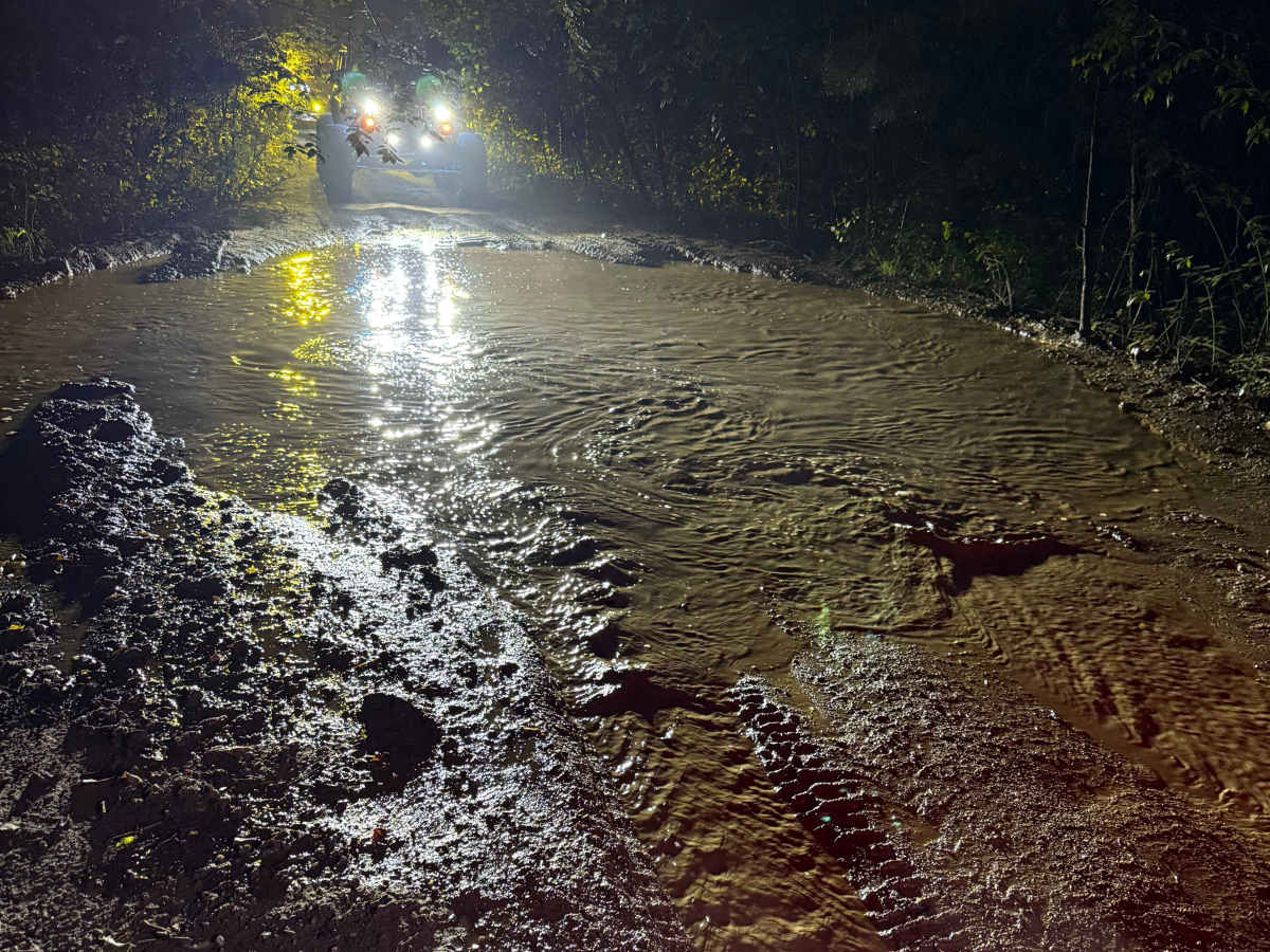 Treat Mountain / County Road 202 photo 5