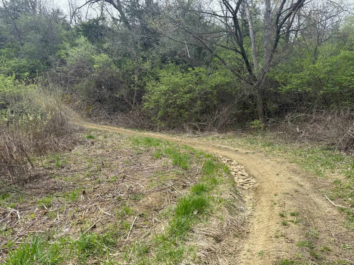 Trail # 3 photo 2