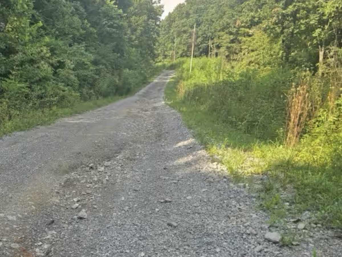 Pine Mountain Road photo 4