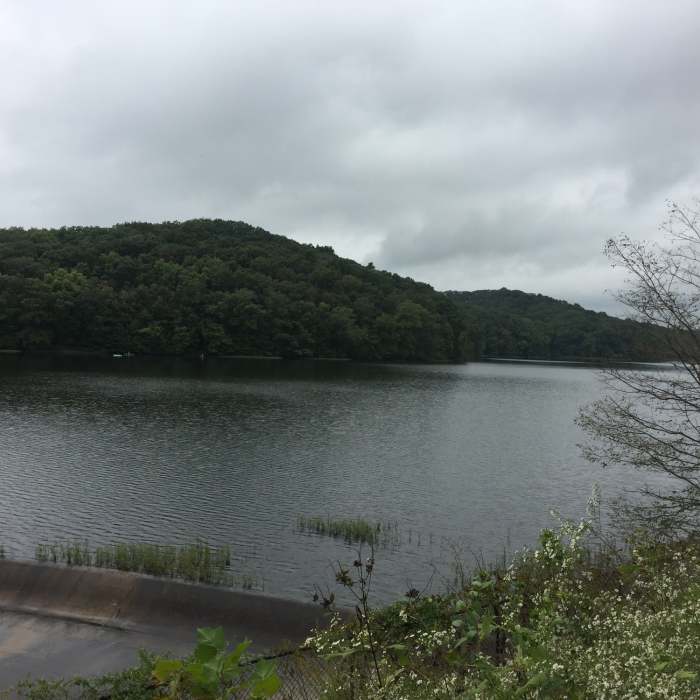 Near Scarce O' Fat Loop