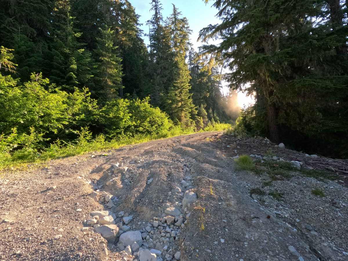 Stave Creek - FS 4613 photo 5