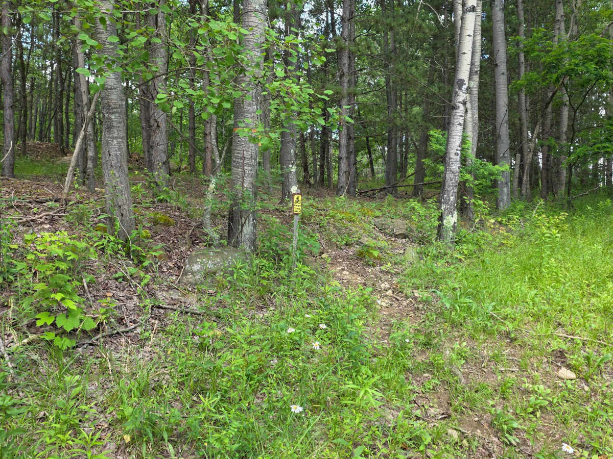 Single Track RR photo 2