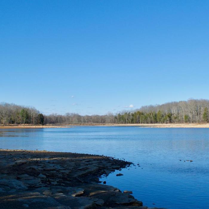 Near Couchville Lake