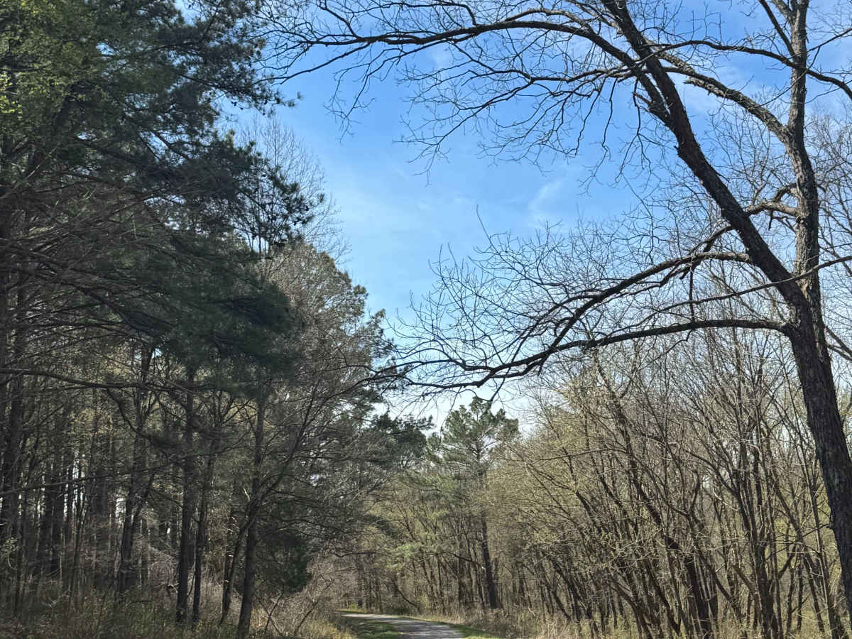 Grandpa's Getaway  photo 5