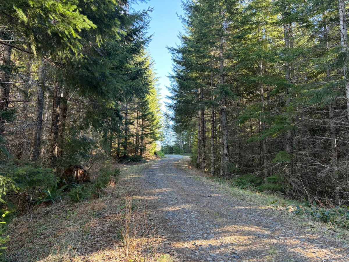 Wolf Creek Road photo 5
