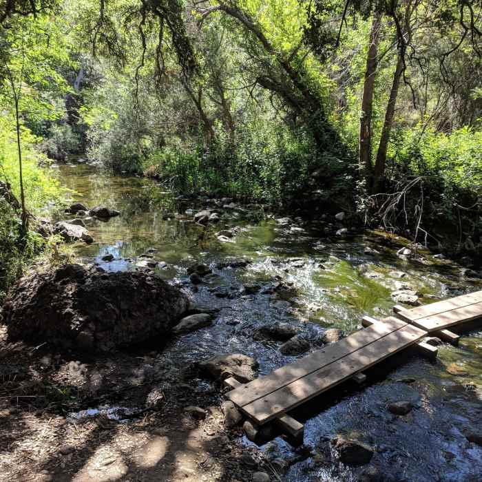 Near Paradise Falls - Long Loop