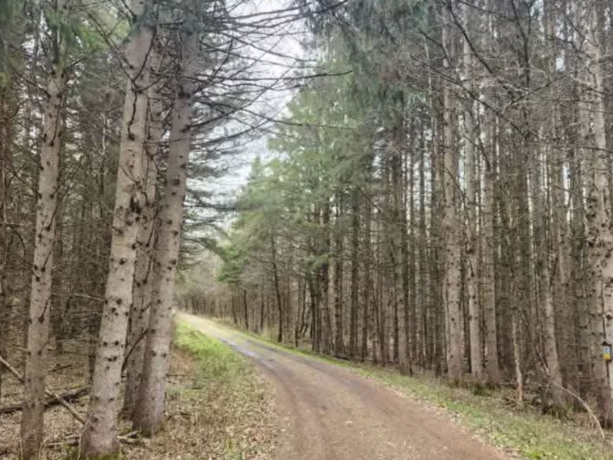 Webster Hill PFAR photo 5