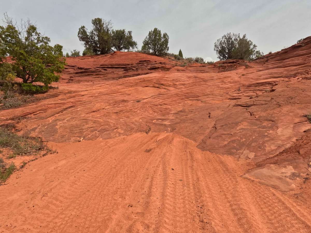 BLM 64K photo 2