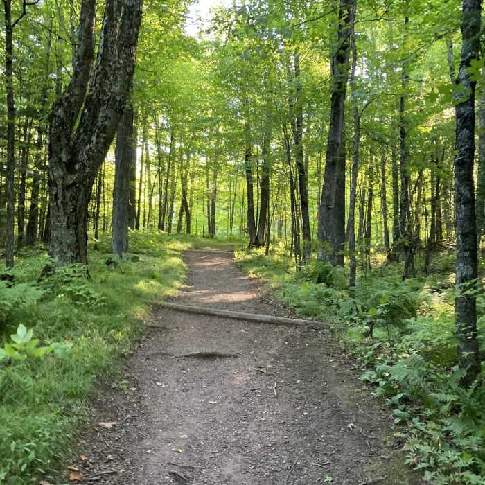 Near Red Granite Falls Trail Near Red Granite Falls Trail