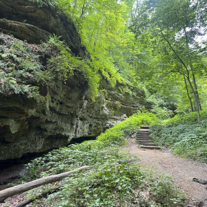 Near Punch Bowl Trail