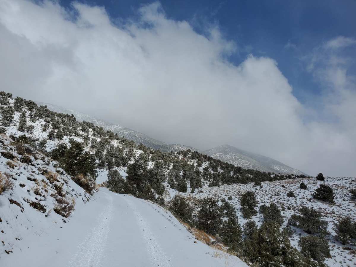 Cabin run via McAfee Road photo 3
