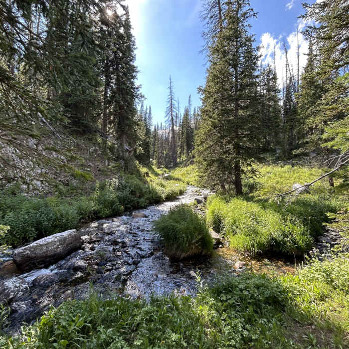 Near French Creek Trail
