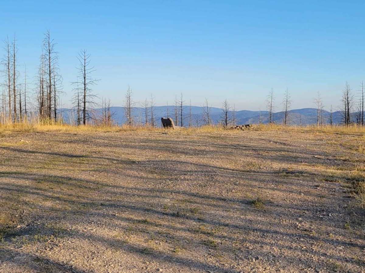 Mormon Peak photo 3