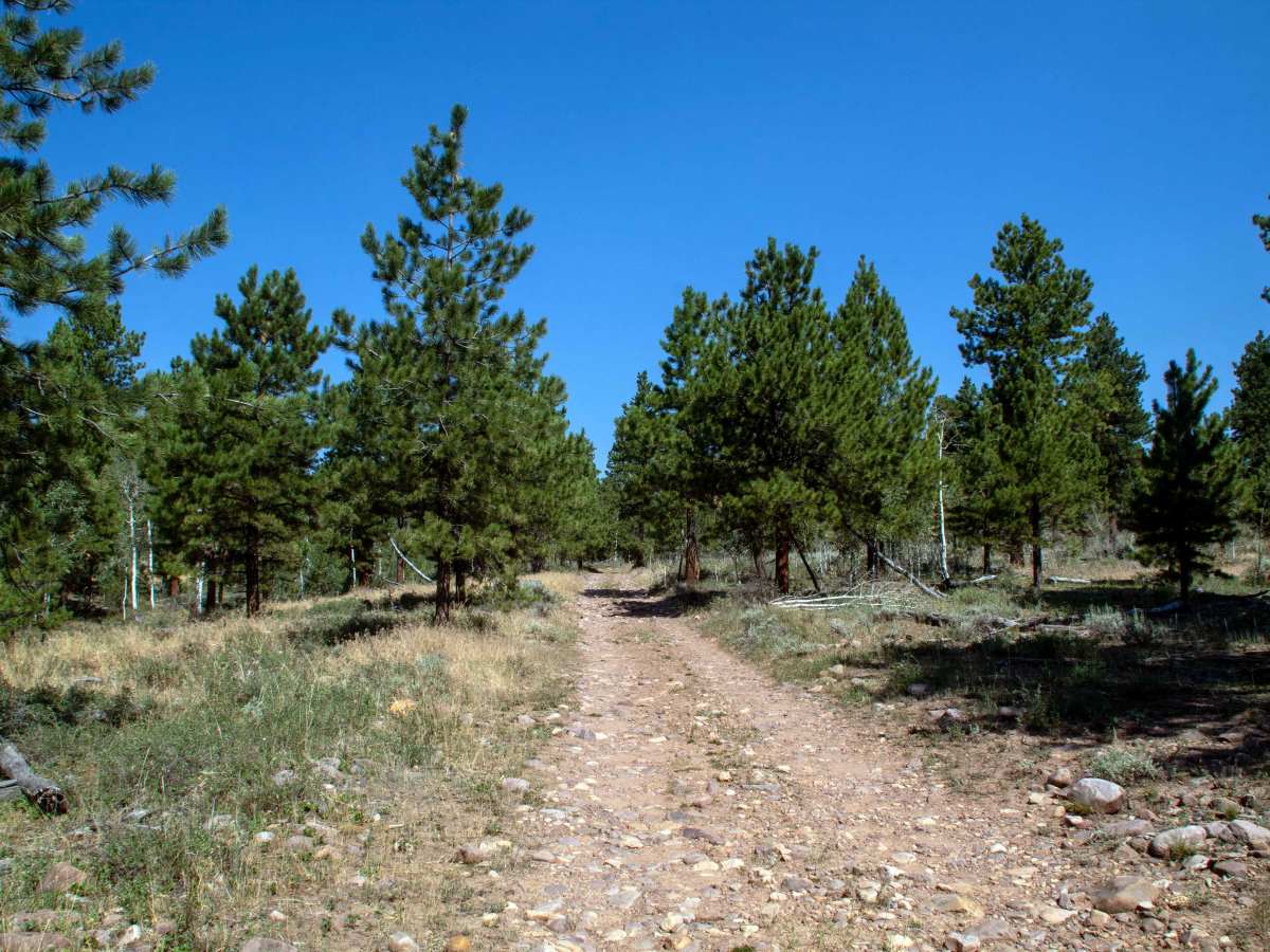 Crow Canyon - FS 10266 photo 2