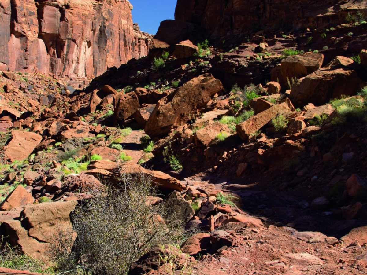 Hey Joe Canyon - CLOSED photo 4