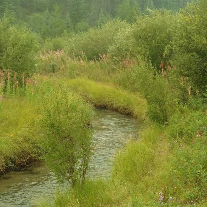 Near Valley of the Five Lakes Trail