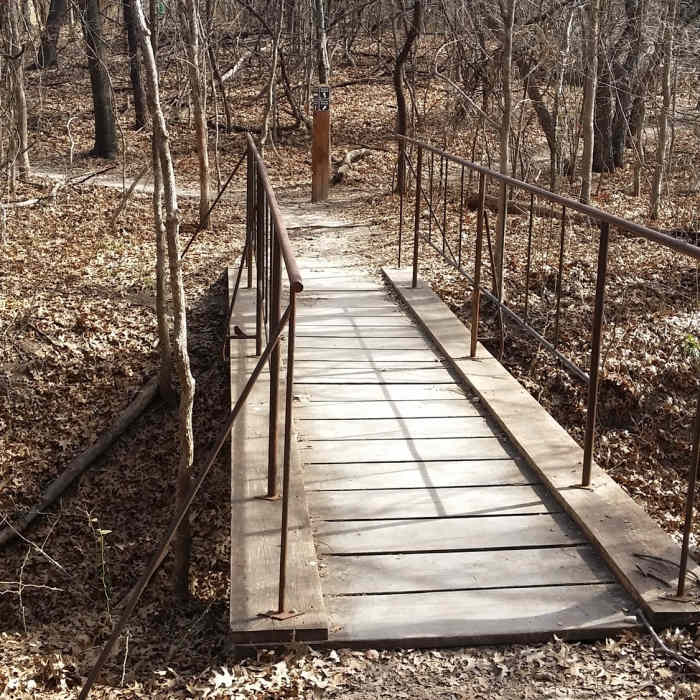 A sturdy bridge provides passage over this drainage in Arbor Hills Nature Preserve. Near Arbor Hills Nature Preserve