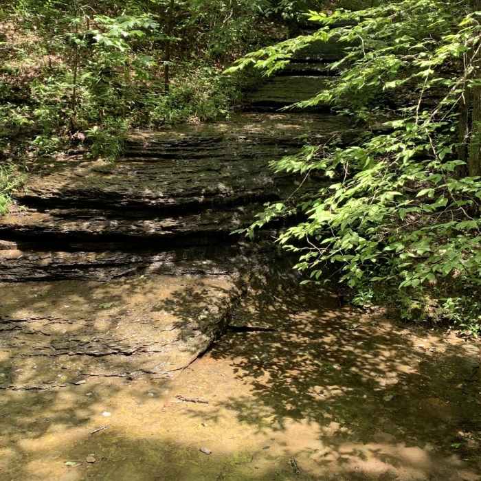 Shale waterfall into the Beaman Park Creek. Near Henry Hollow and Ridgetop