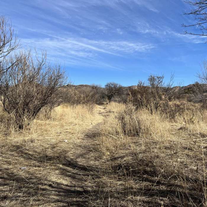 Near Arizona Trail Passage 3: Canelo Hills West