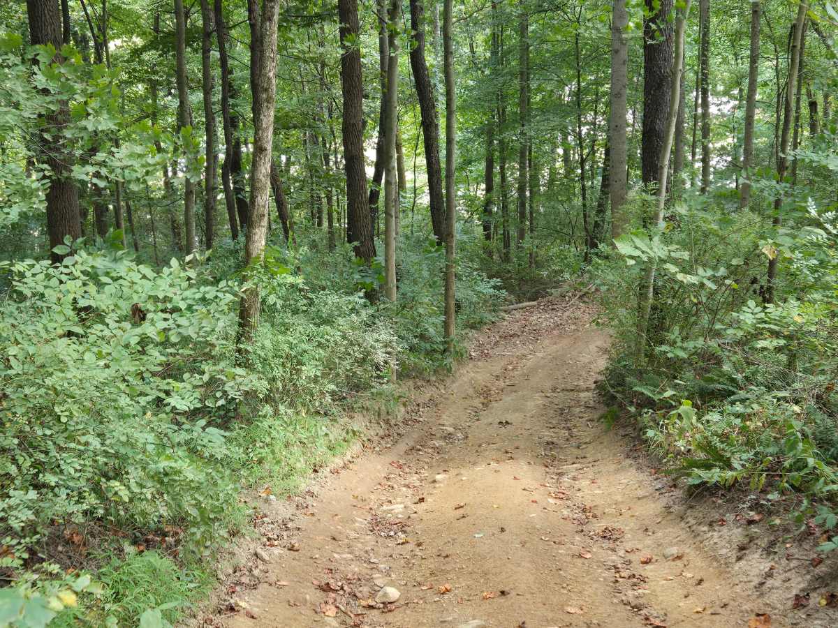 Trail 34 photo 3