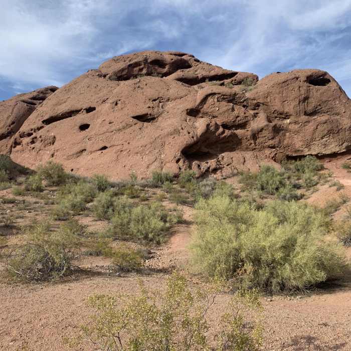 Near 5K Fitness Trail