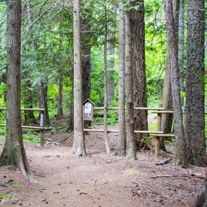 Near Mickinnick Trail