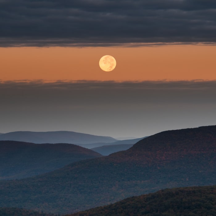 Near Overlook Mountain Trail