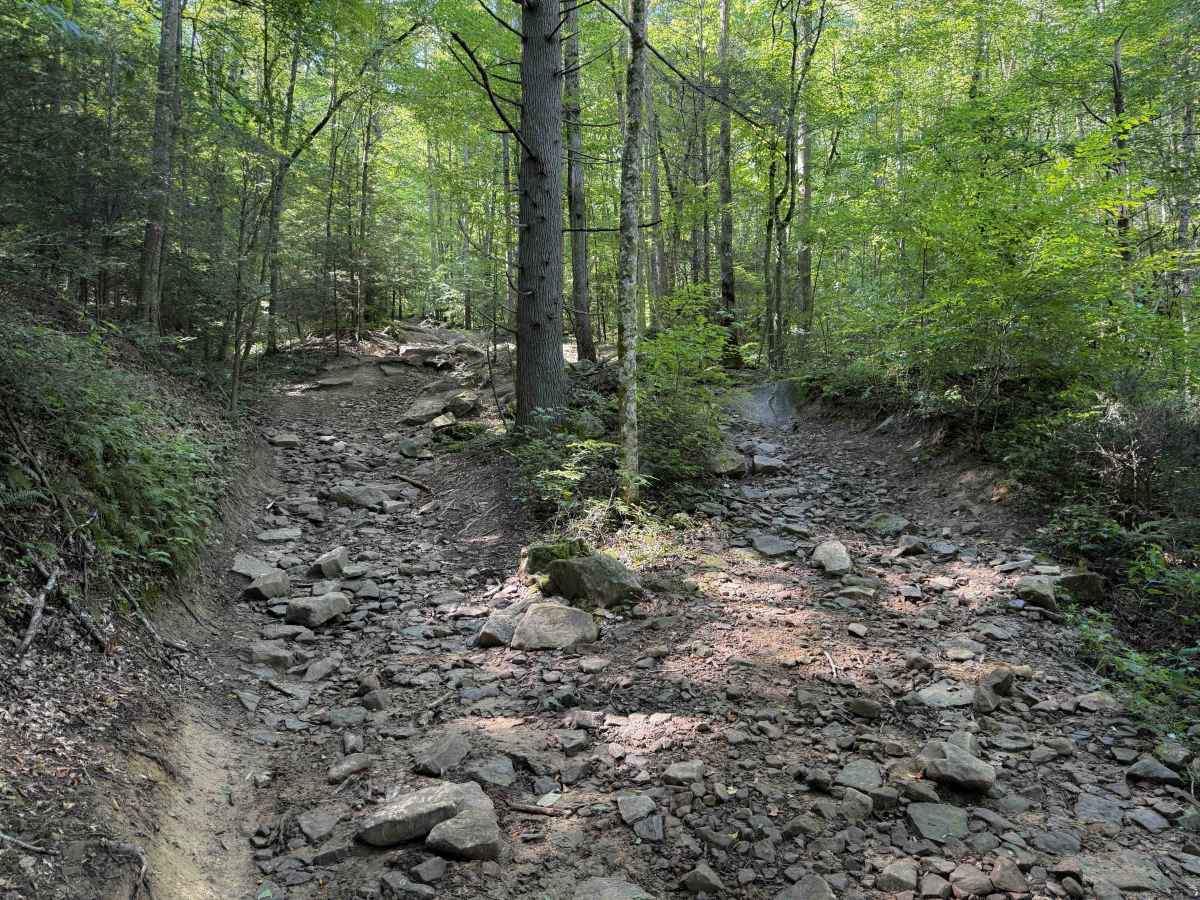 Long Haul Hollow Trail 31  photo 5