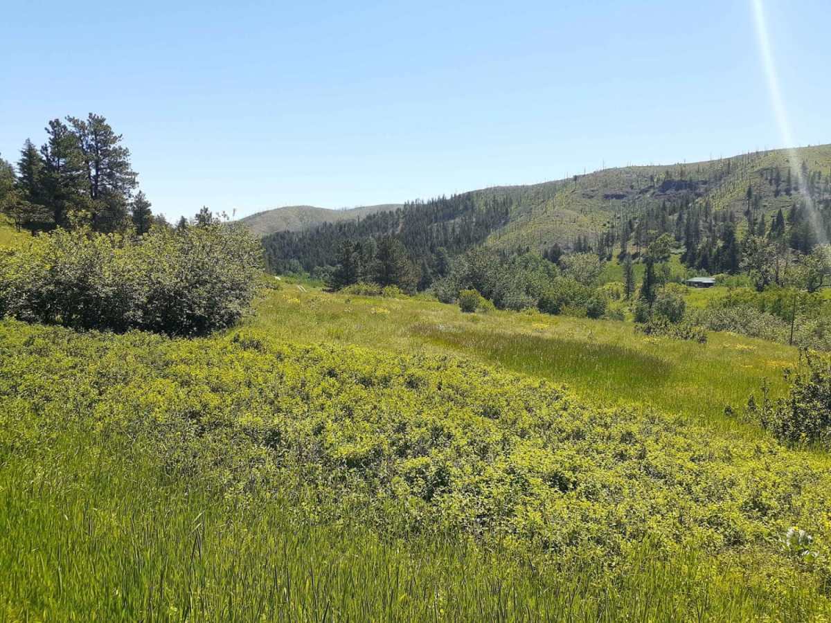West Bridger Creek Cruise photo 3
