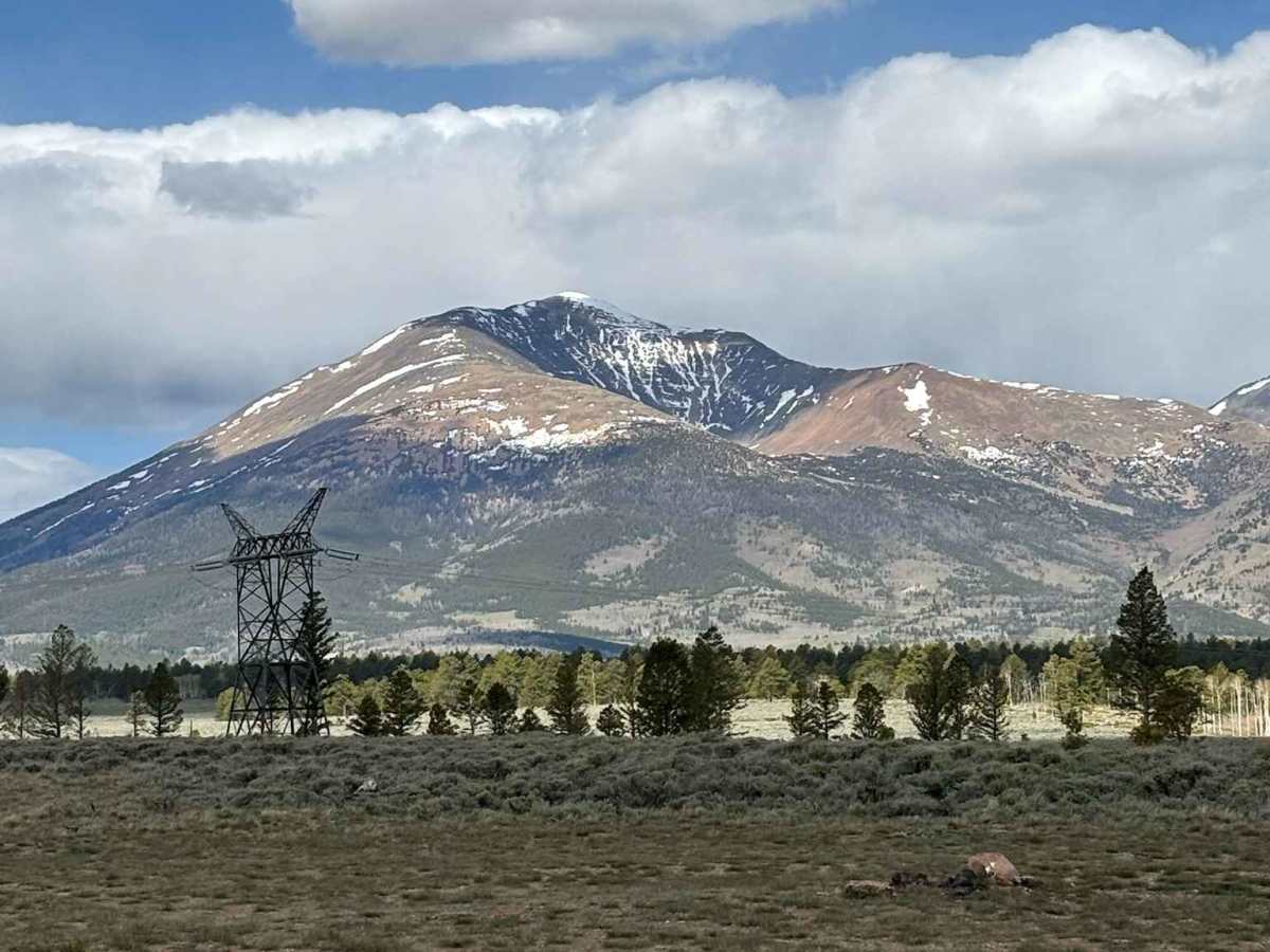 Poncha Loop Road photo 4