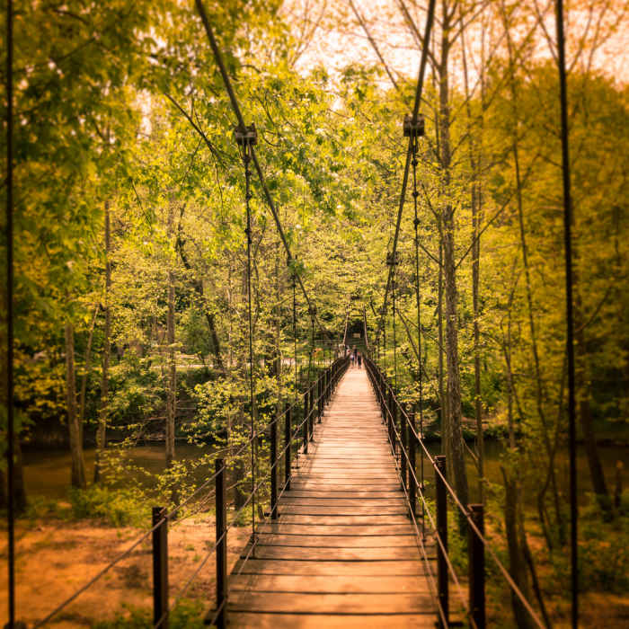 Near Grist Mill Trail