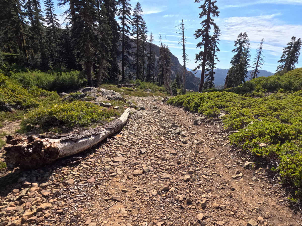 Spencer Lakes OHV - FS 11M01 photo 5