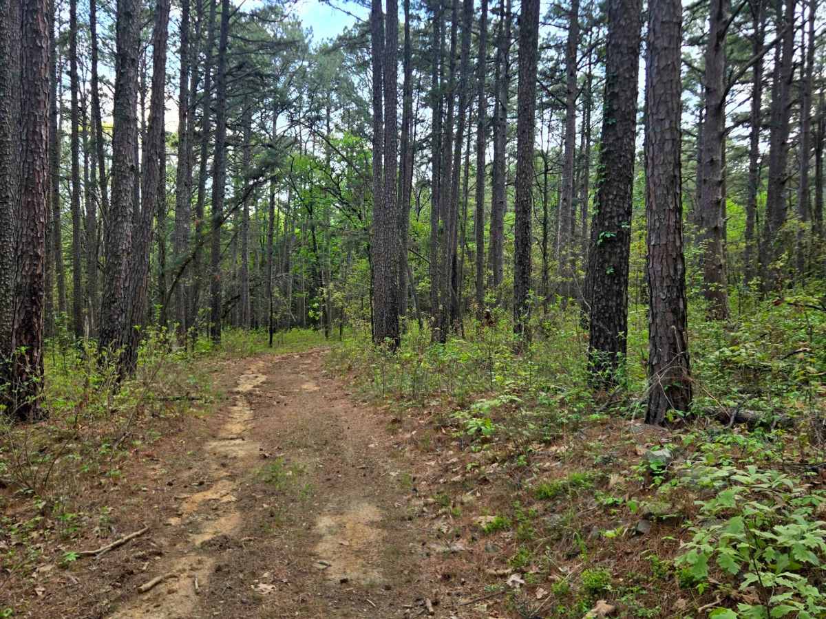 River Ridge trail photo