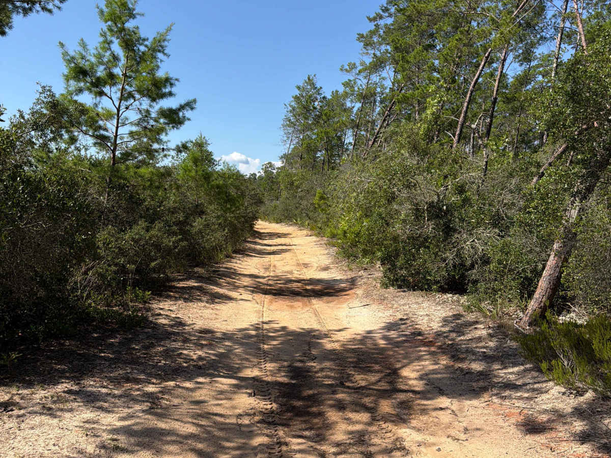 Centennial West - FS 520 photo 2