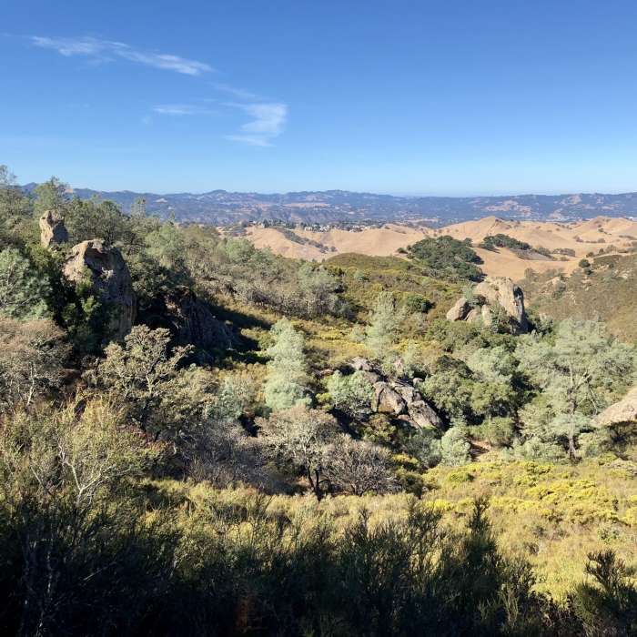 Near Wall Point Road